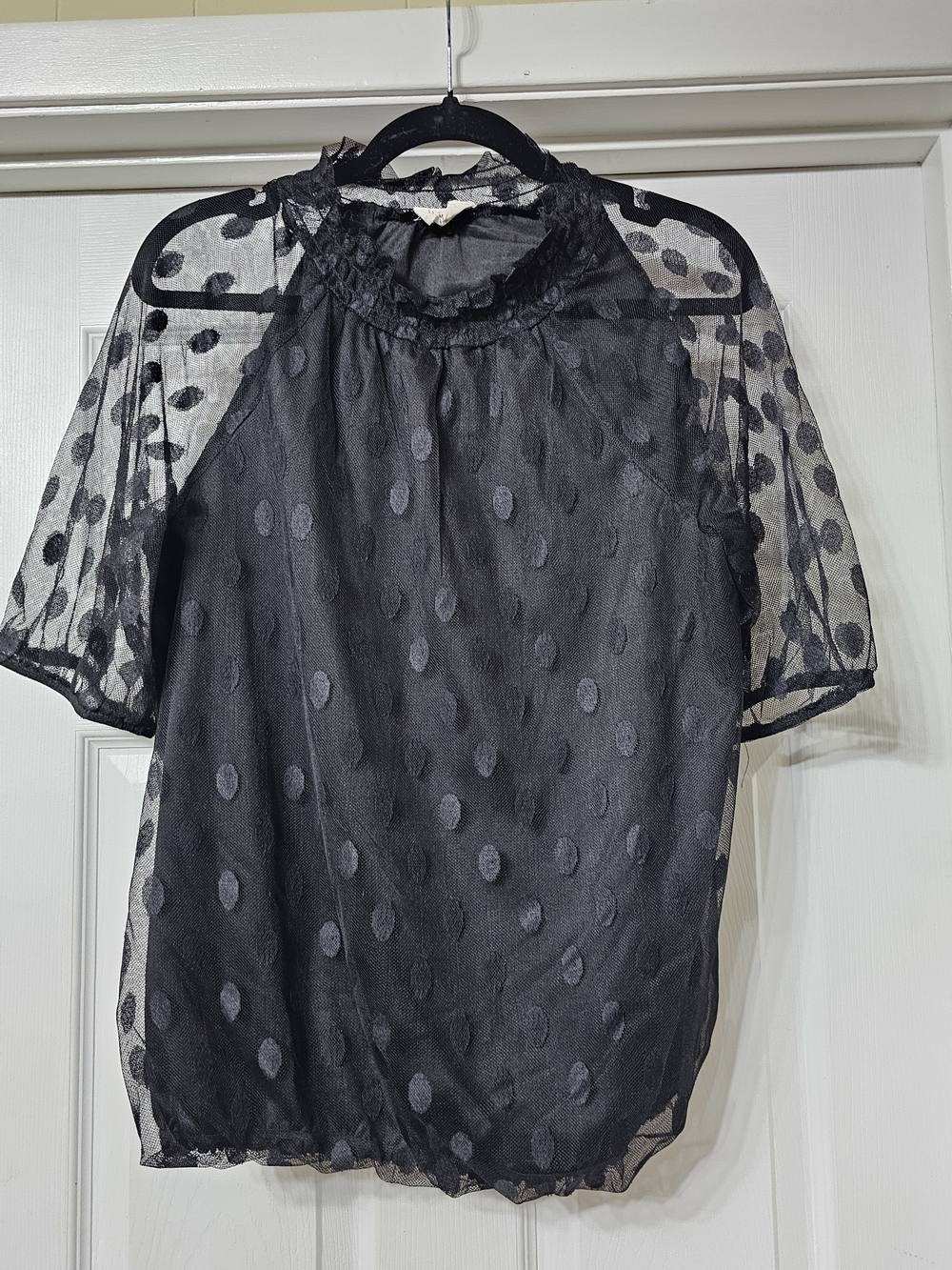 Sheer Polka-Dot Ruffle Neck Blouse - Black
